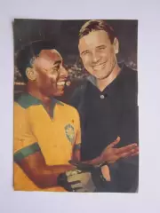 Вырезка. Футбол. Фото 466.