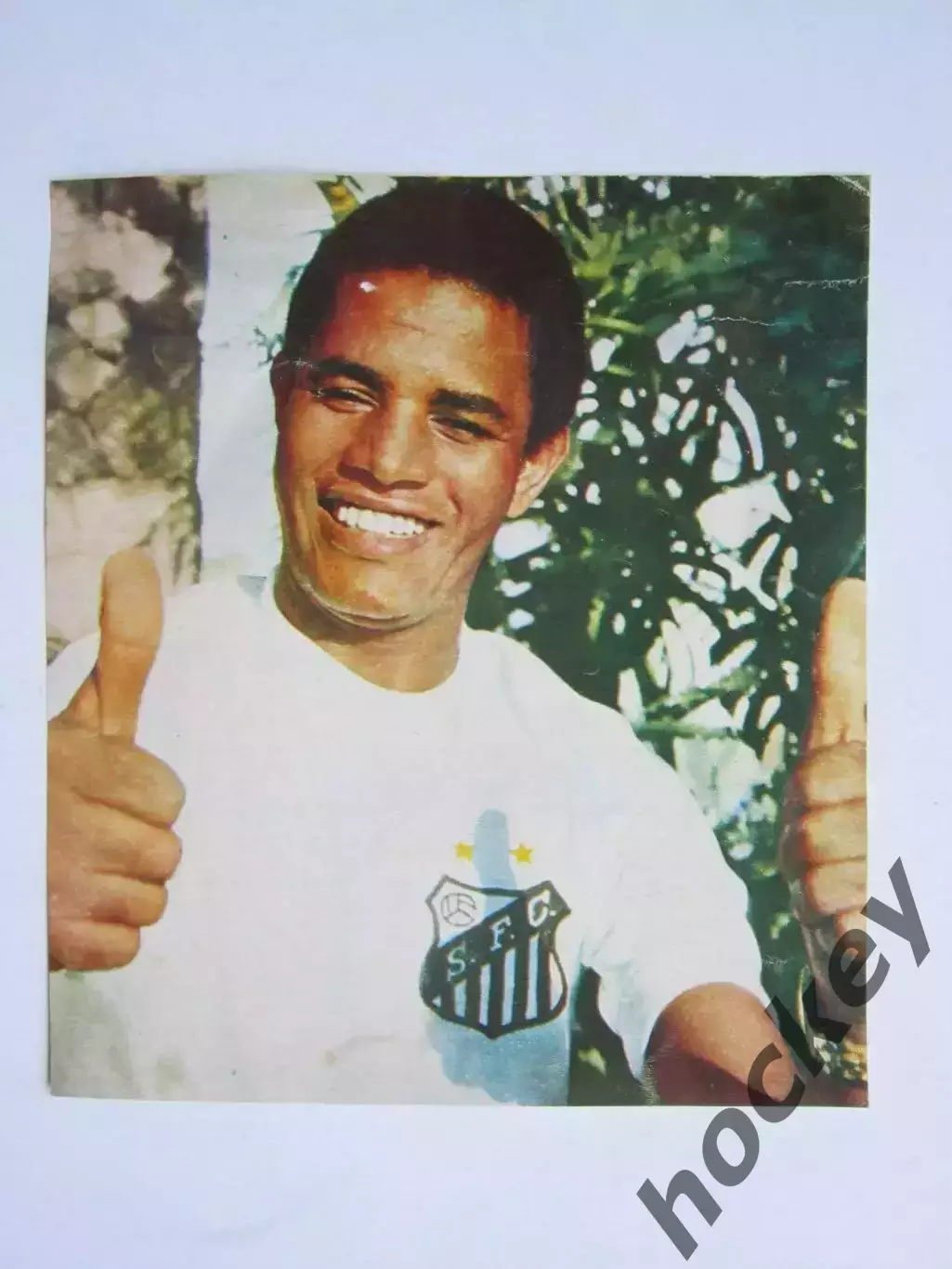 Вырезка. Футбол. Фото 469.