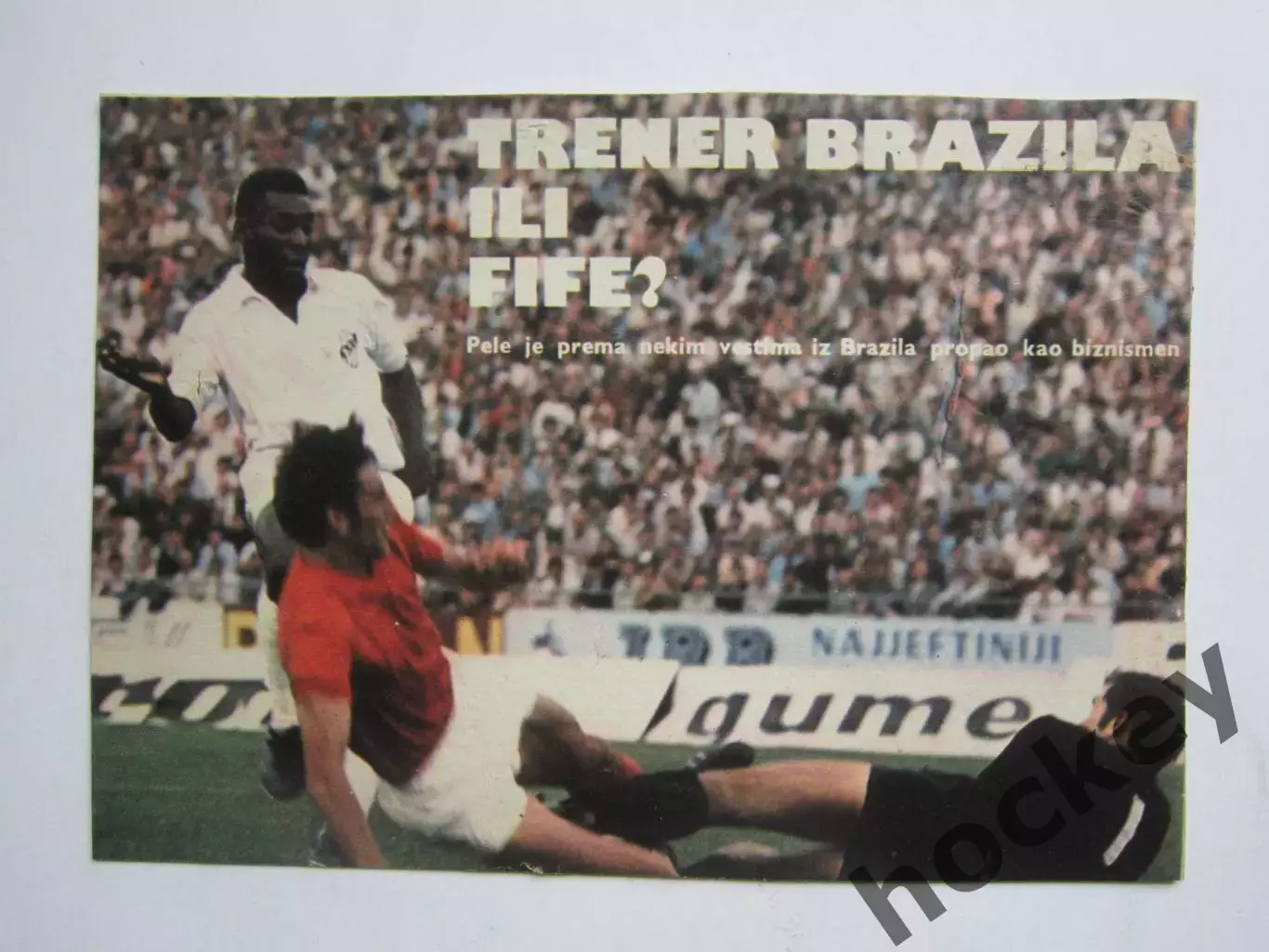 Вырезка. Футбол. Фото 470.