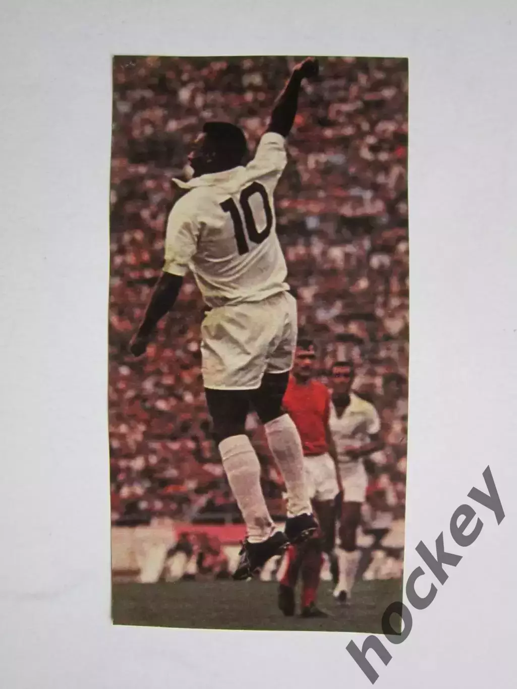 Вырезка. Футбол. Фото 471.