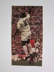 Вырезка. Футбол. Фото 471.