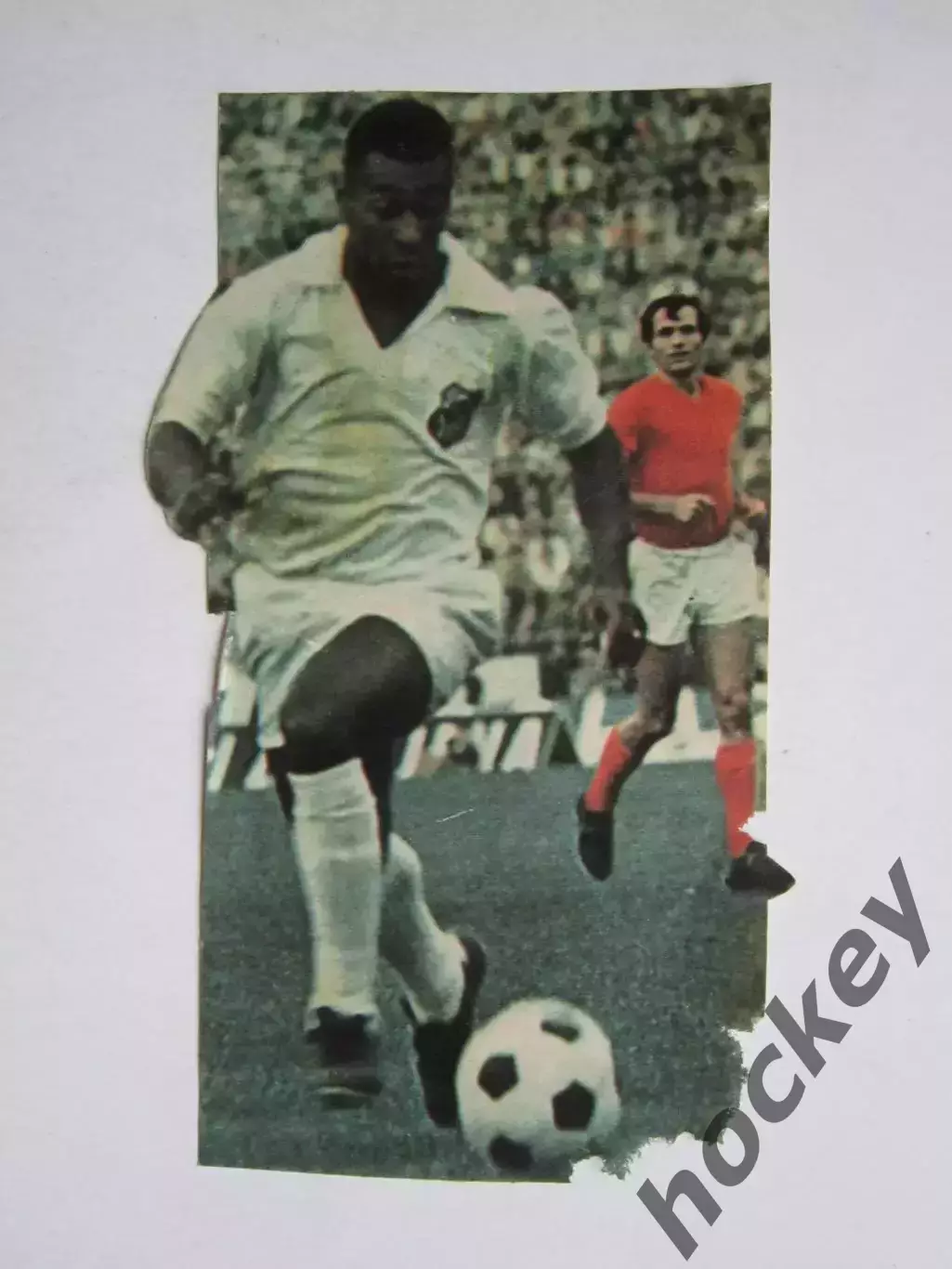 Вырезка. Футбол. Фото 472.