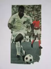 Вырезка. Футбол. Фото 472.