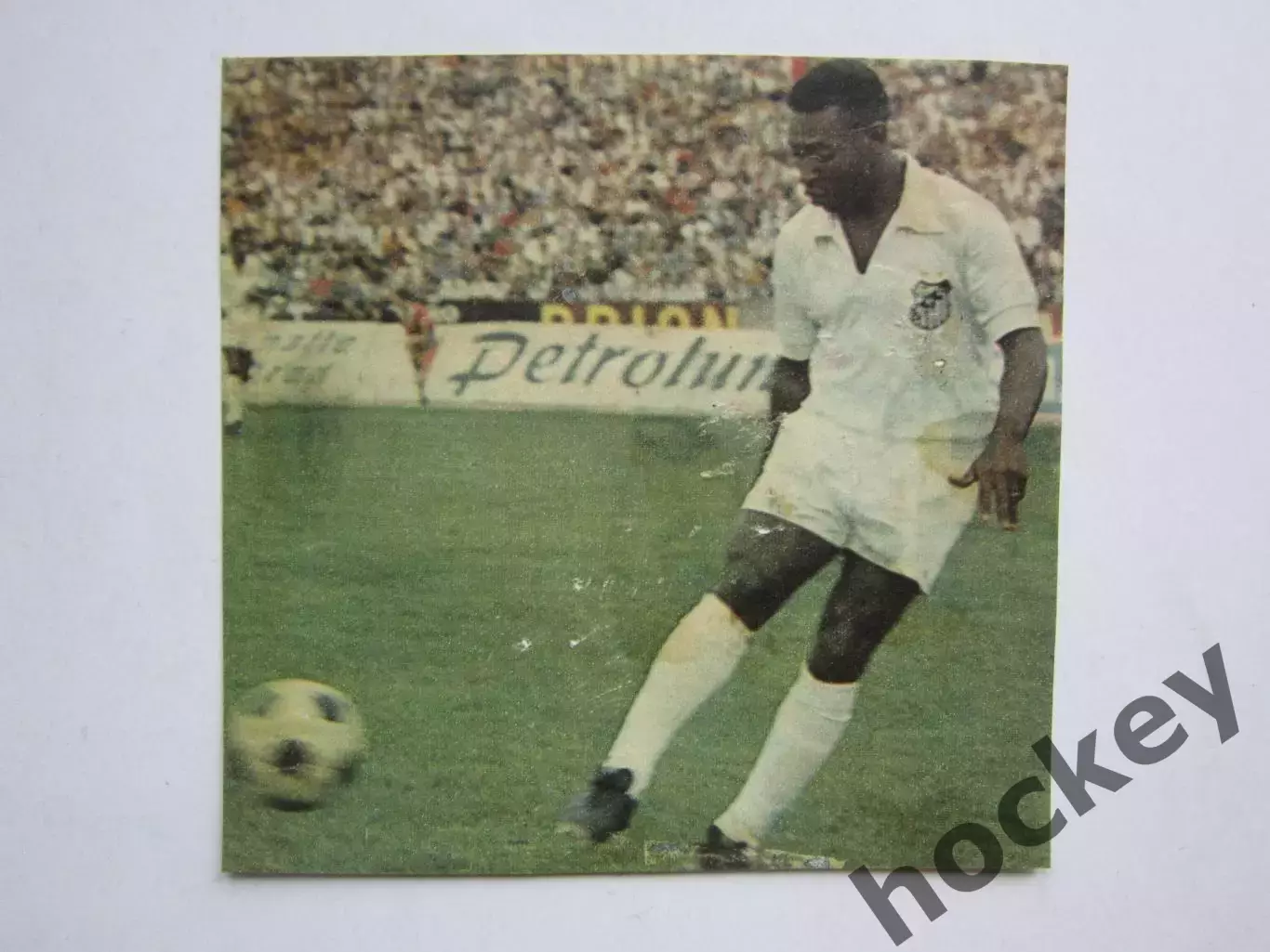 Вырезка. Футбол. Фото 474.