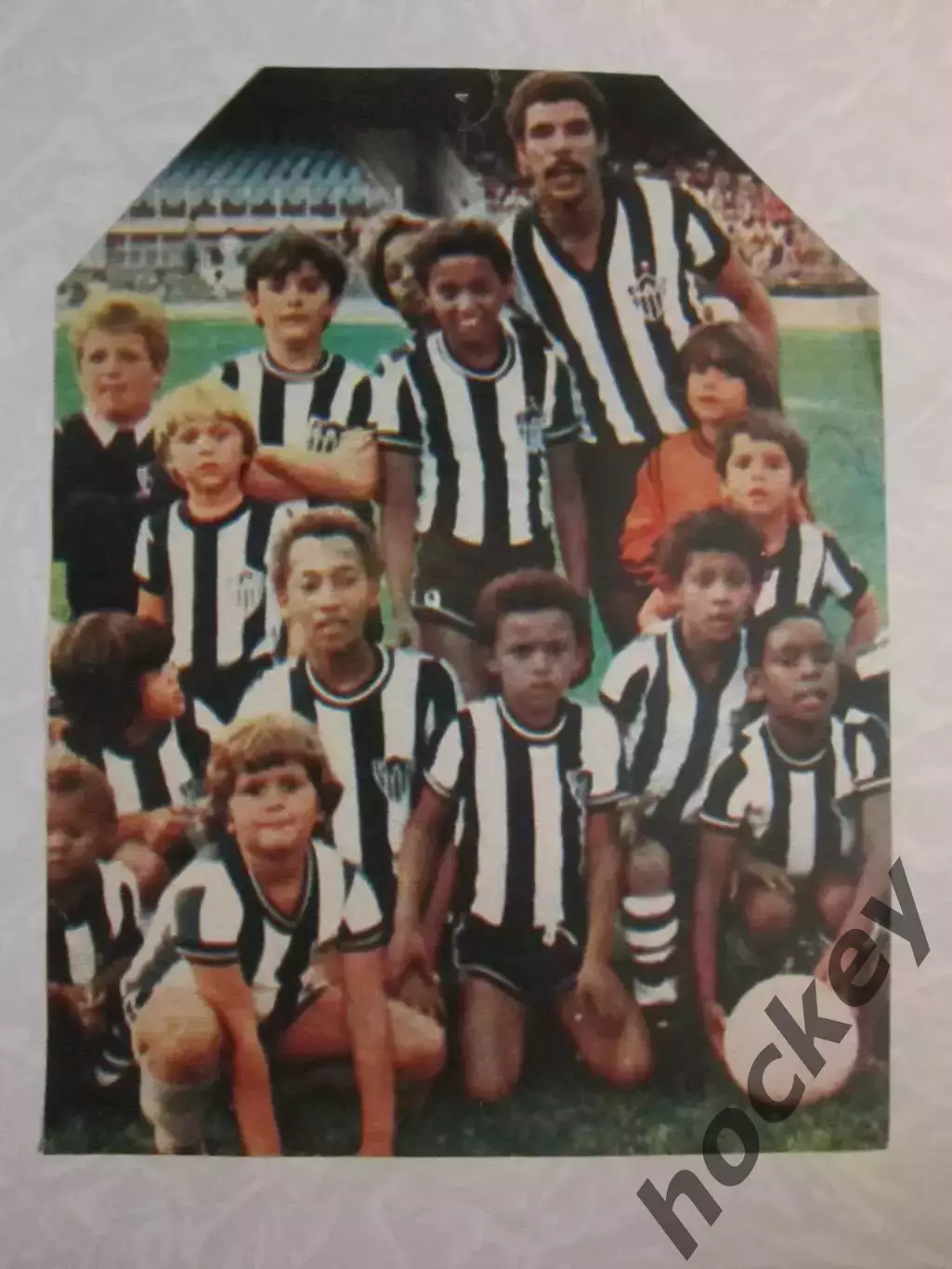 Вырезка. Футбол. Фото 475.