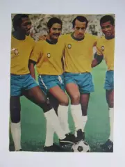 Вырезка. Футбол. Фото 476.