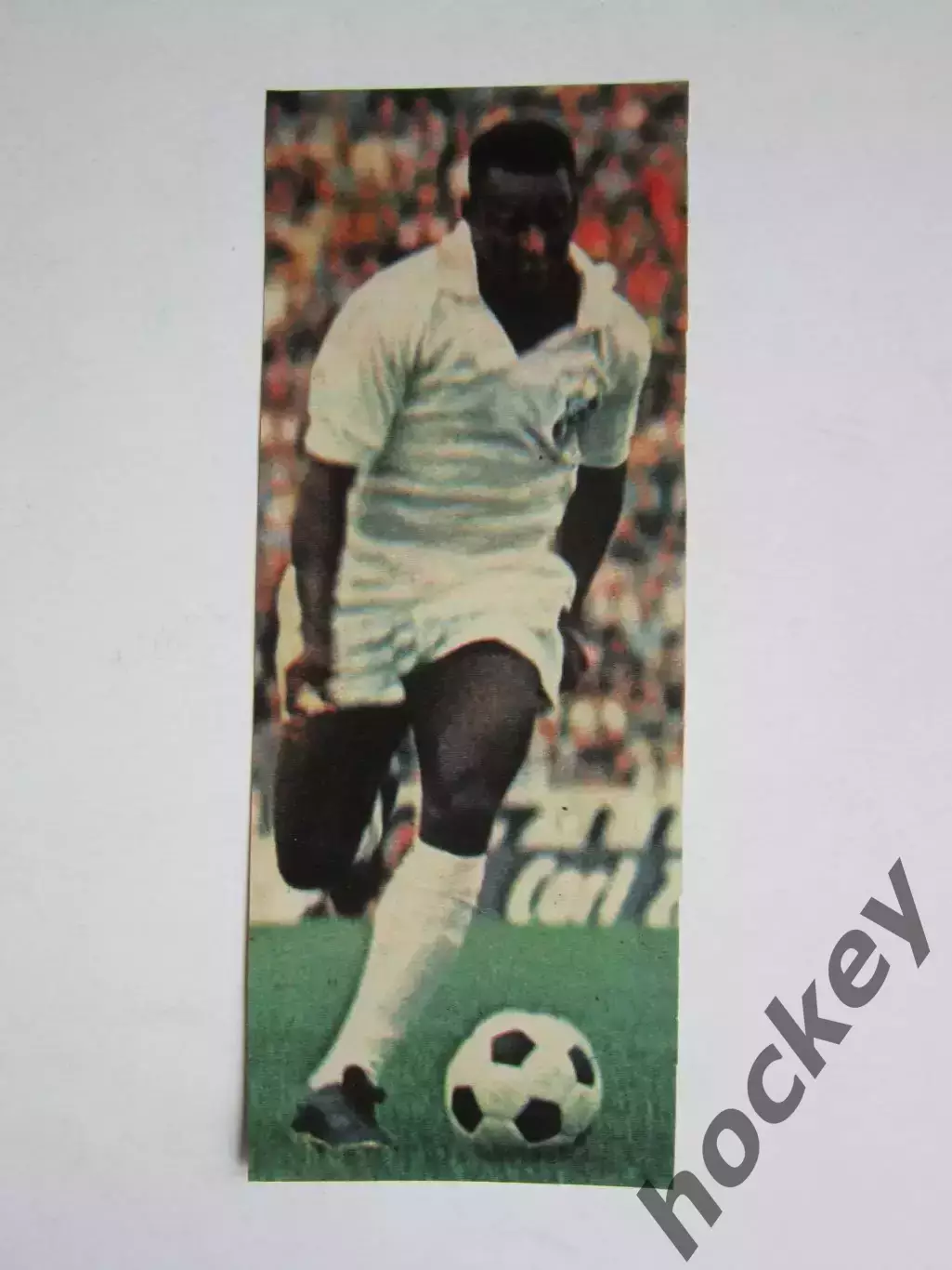 Вырезка. Футбол. Фото 478.