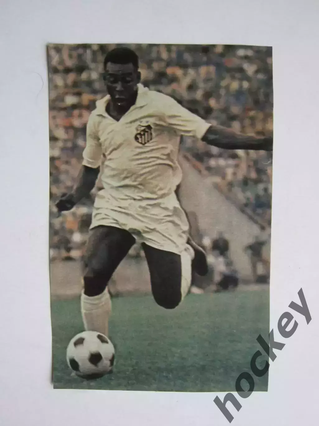 Вырезка. Футбол. Фото 479.