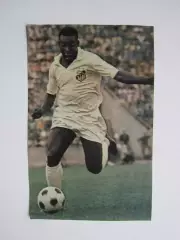 Вырезка. Футбол. Фото 479.