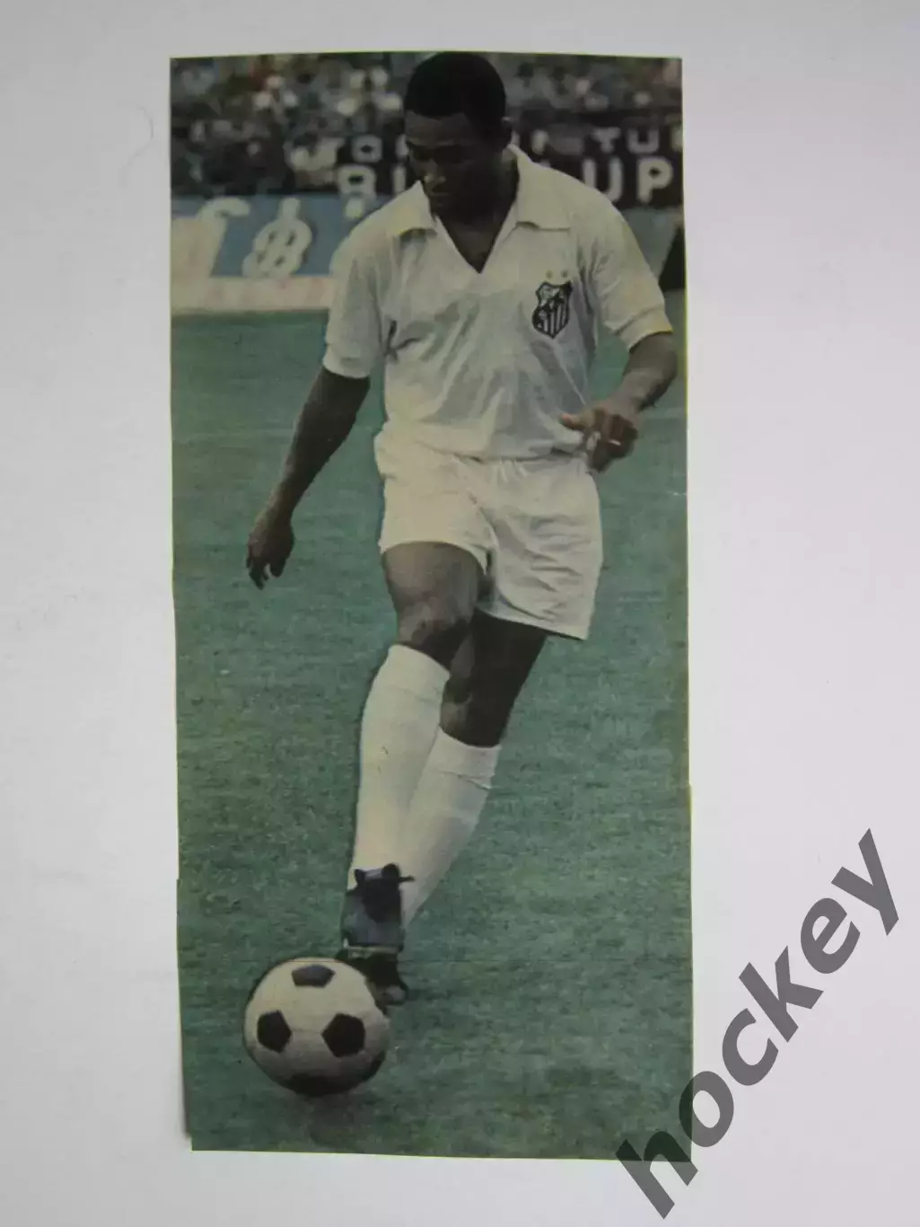 Вырезка. Футбол. Фото 480.