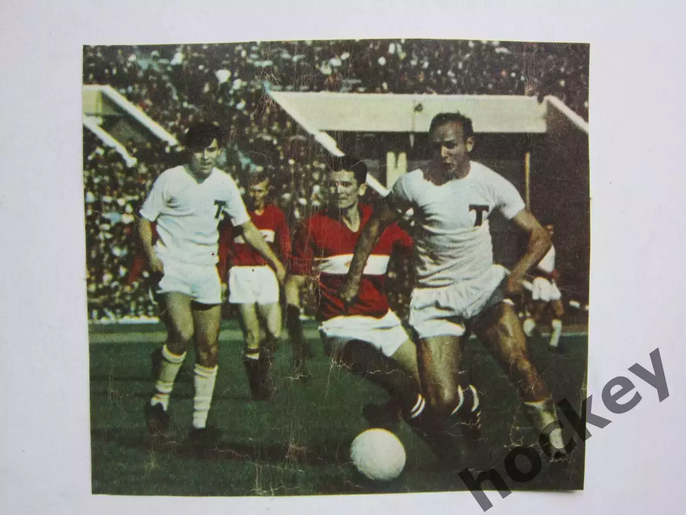 Вырезка. Футбол. Фото 481.