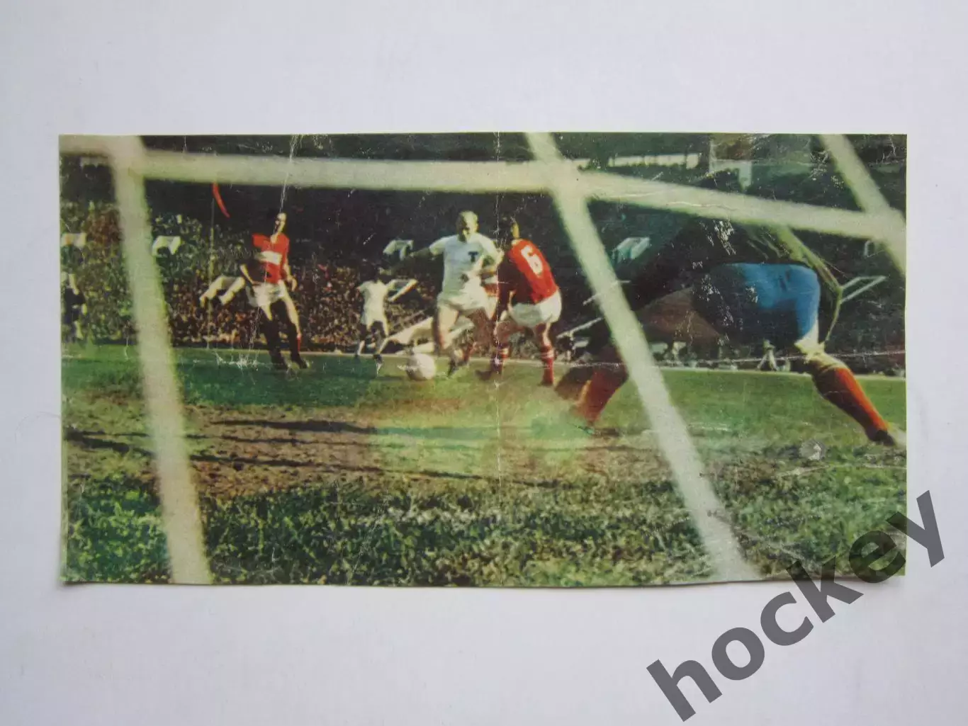 Вырезка. Футбол. Фото 482.