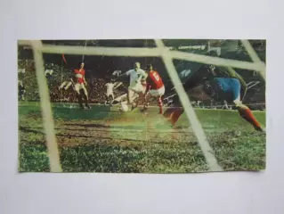 Вырезка. Футбол. Фото 482.