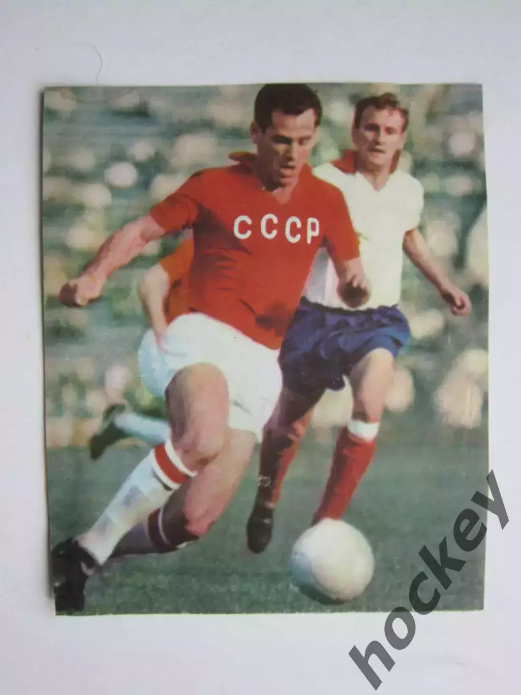 Вырезка. Футбол. Фото 483.