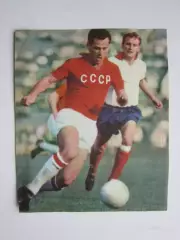 Вырезка. Футбол. Фото 483.