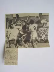 Вырезка. Футбол. Фото 484.