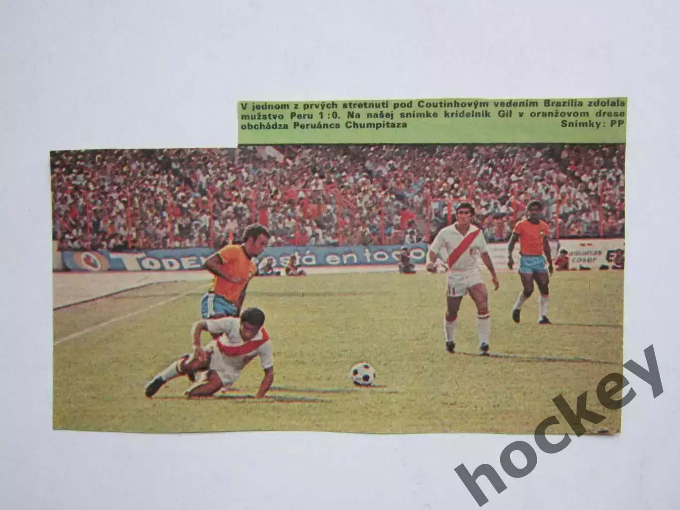 Вырезка. Футбол. Фото 488.