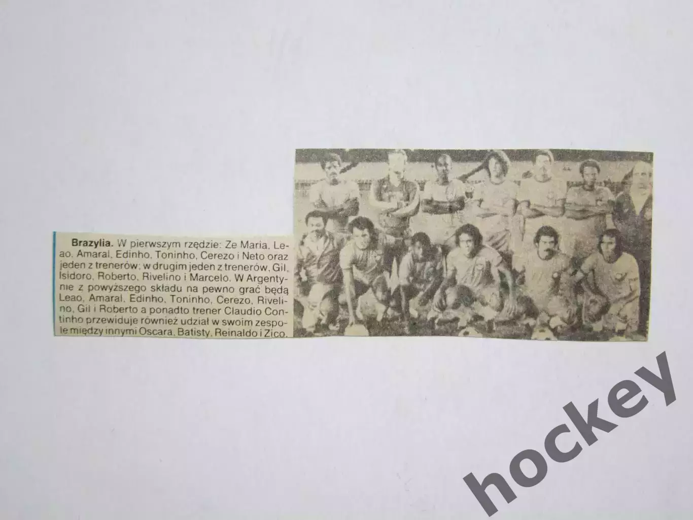 Вырезка. Футбол. Фото 490.