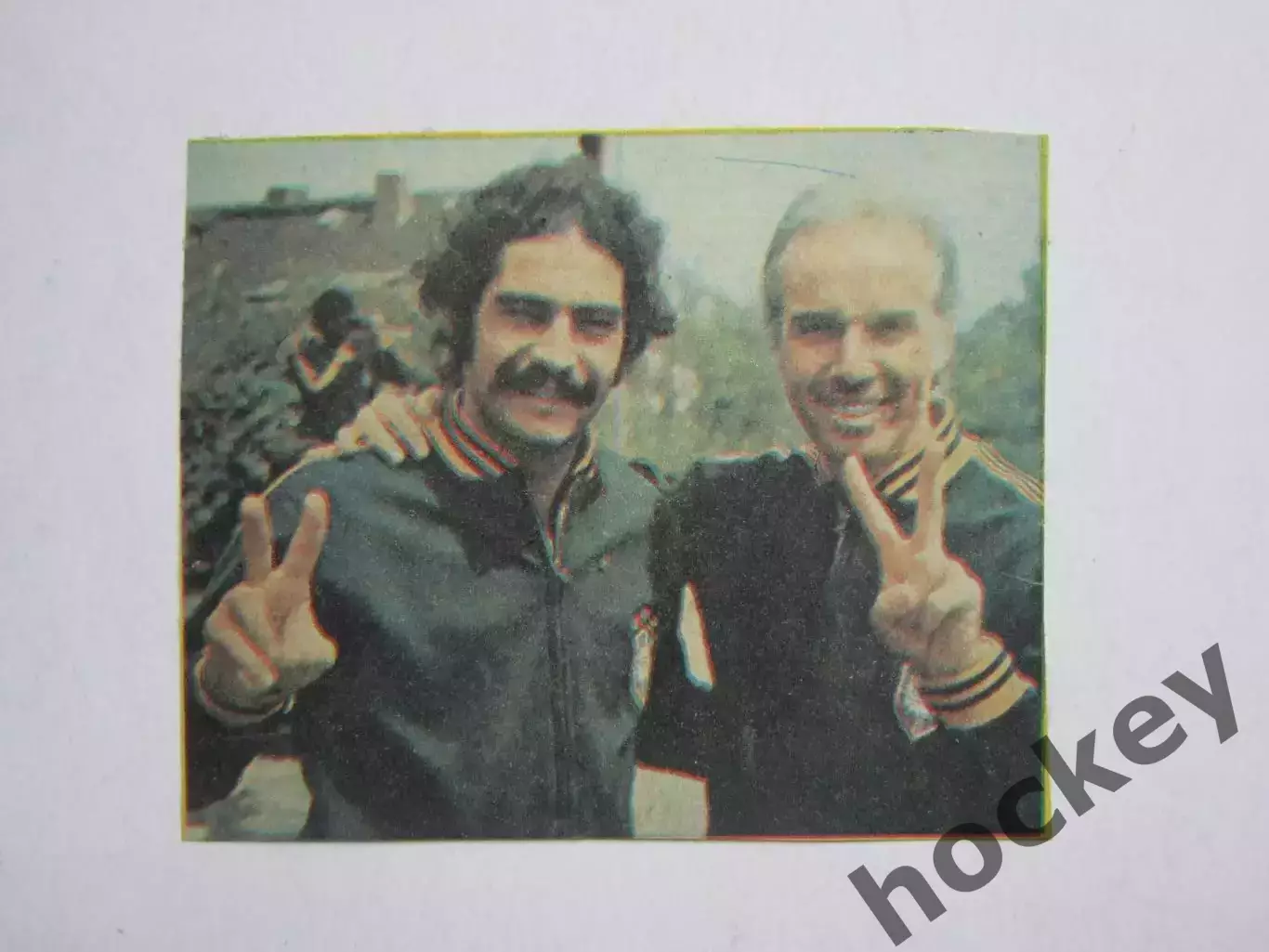 Вырезка. Футбол. Фото 492.