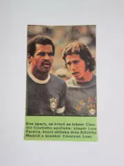 Вырезка. Футбол. Фото 493.