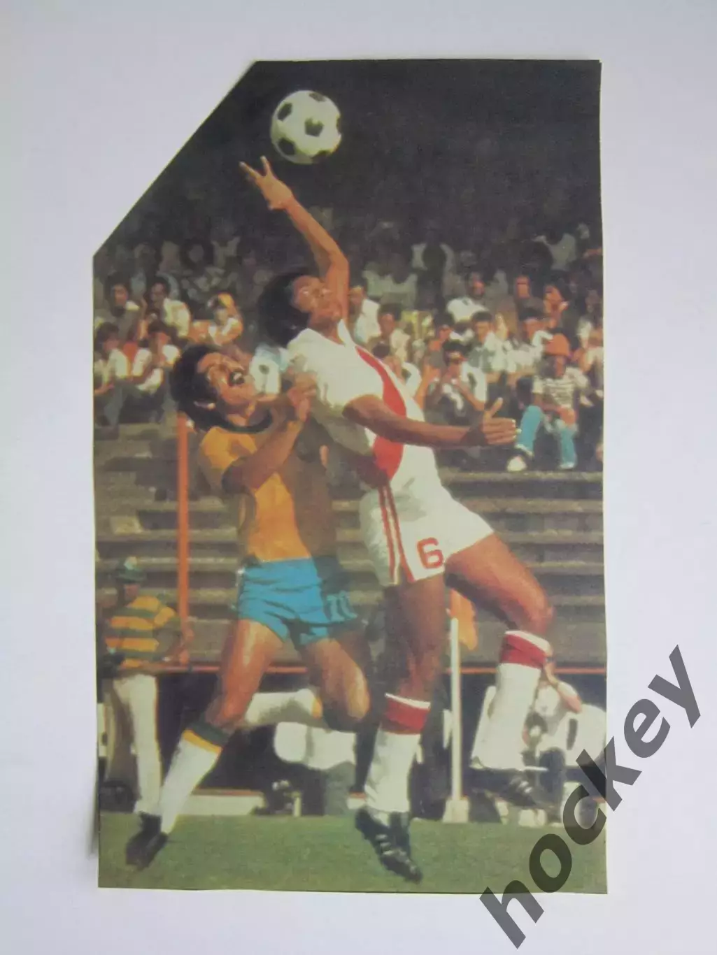 Вырезка. Футбол. Фото 494.