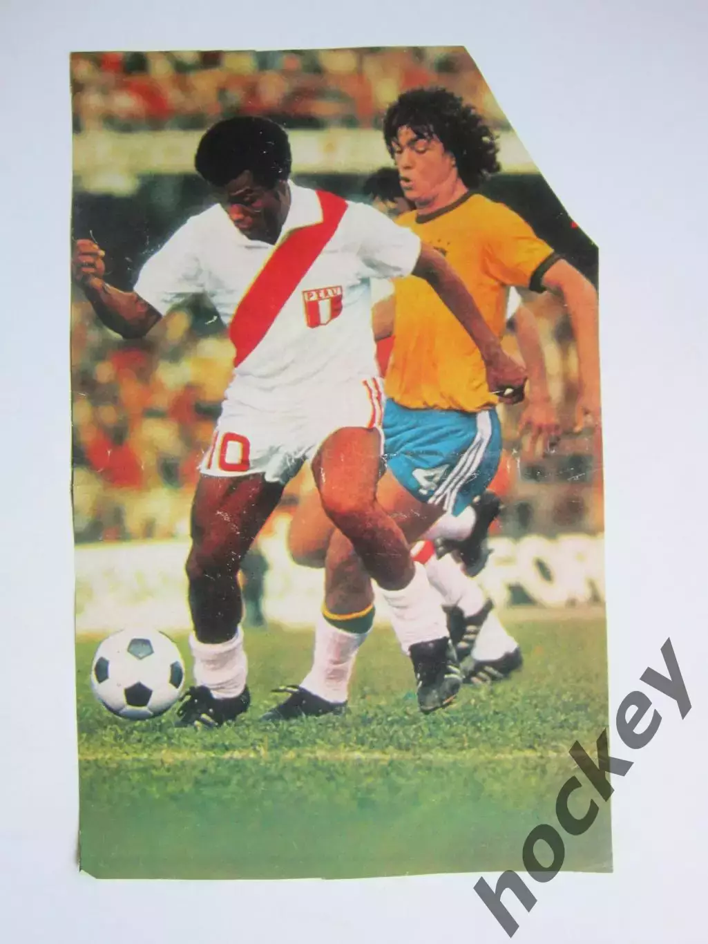 Вырезка. Футбол. Фото 495.