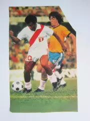 Вырезка. Футбол. Фото 495.