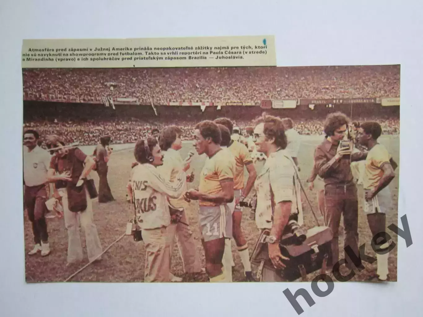 Вырезка. Футбол. Фото 497.