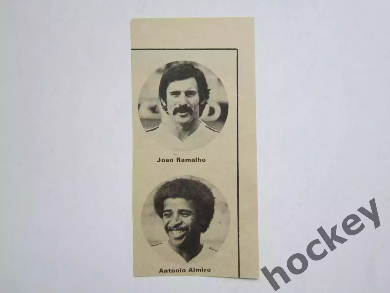 Вырезка. Футбол. Фото 498.