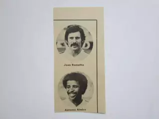 Вырезка. Футбол. Фото 498.