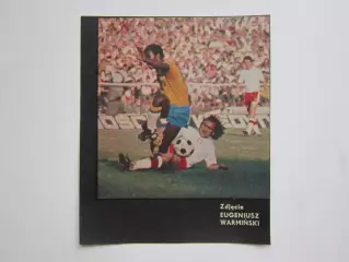 Вырезка. Футбол. Фото 499.