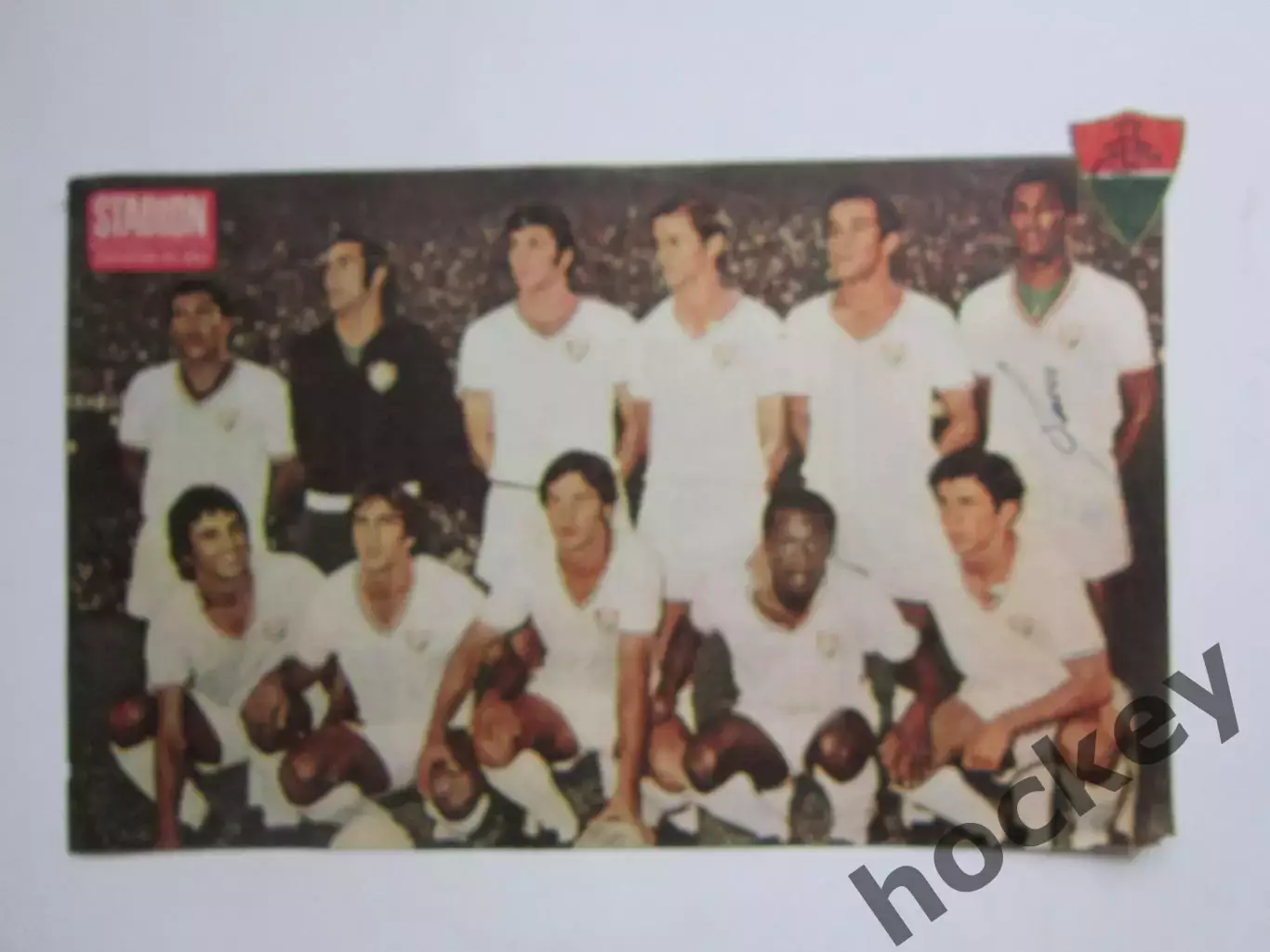 Вырезка. Футбол. Фото 503.