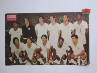 Вырезка. Футбол. Фото 503.