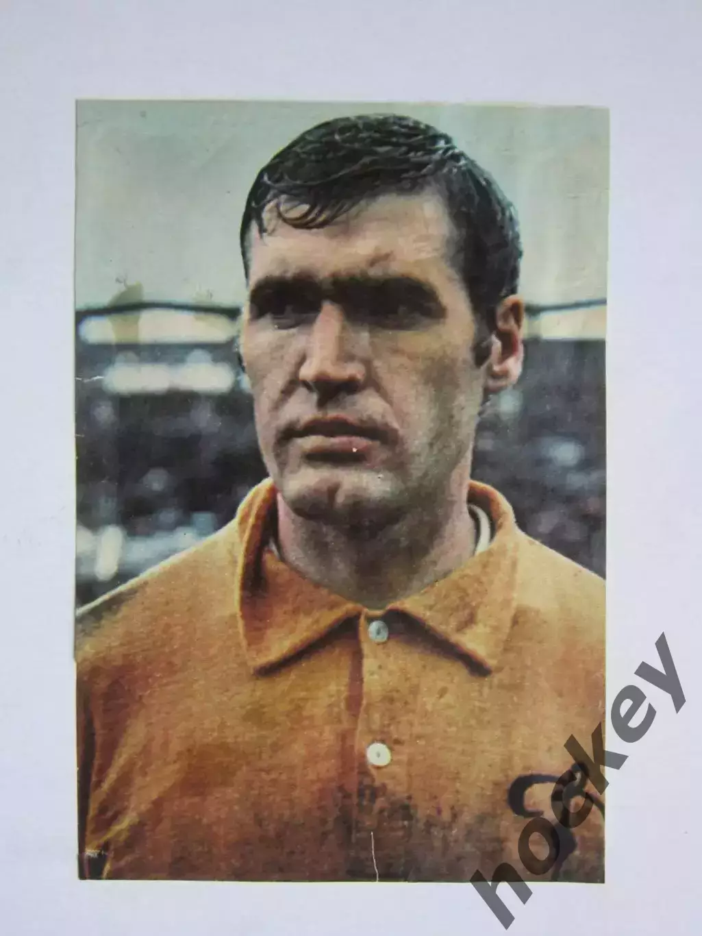 Вырезка. Футбол. Фото 506.