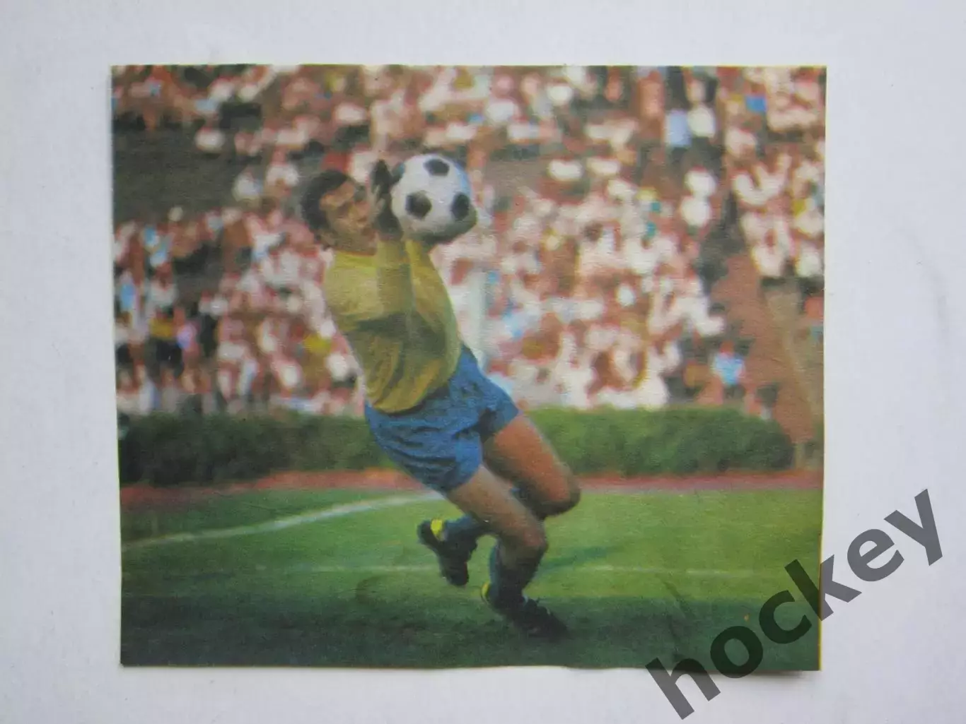 Вырезка. Футбол. Фото 507.