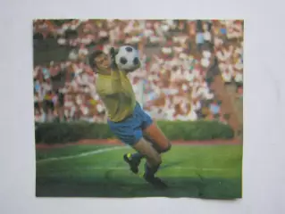 Вырезка. Футбол. Фото 507.