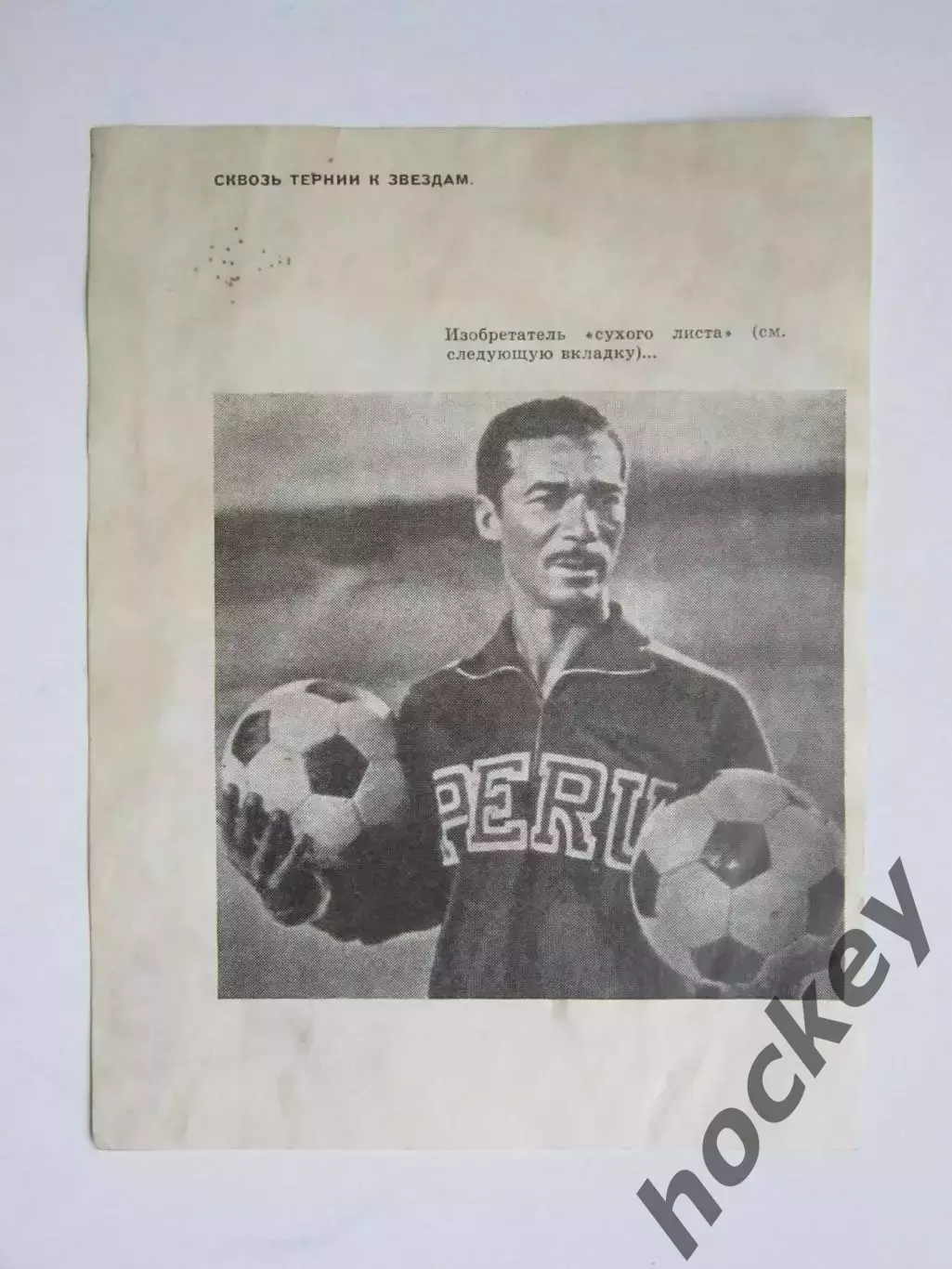 Вырезка. Футбол. Фото 510. 1