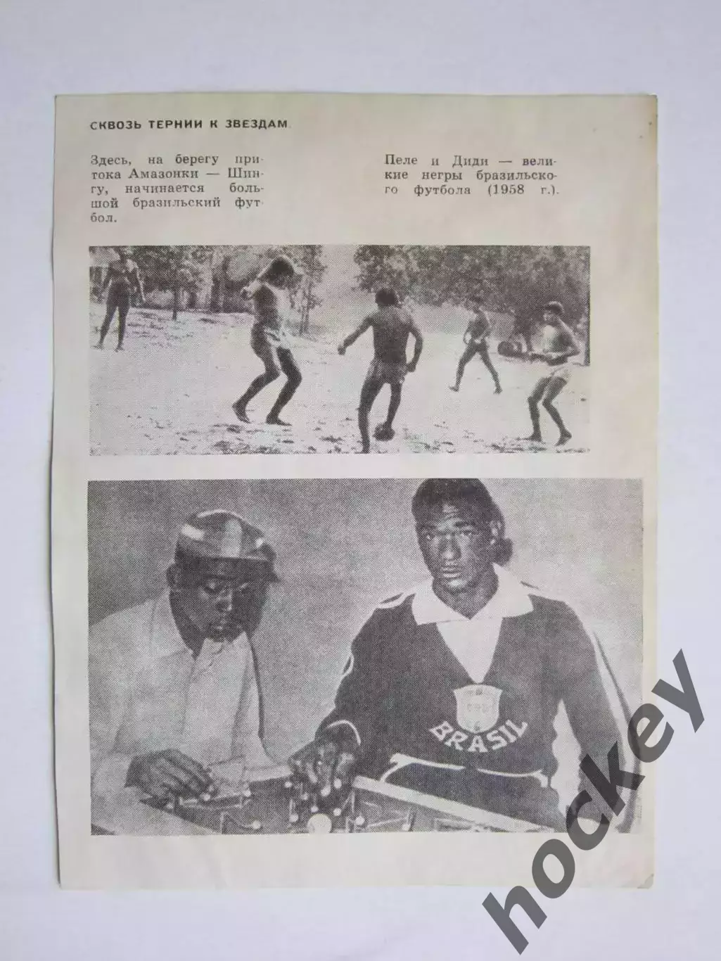 Вырезка. Футбол. Фото 510.