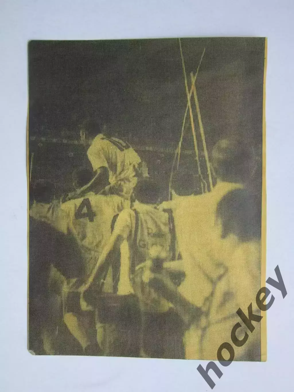 Вырезка. Футбол. Фото 515.