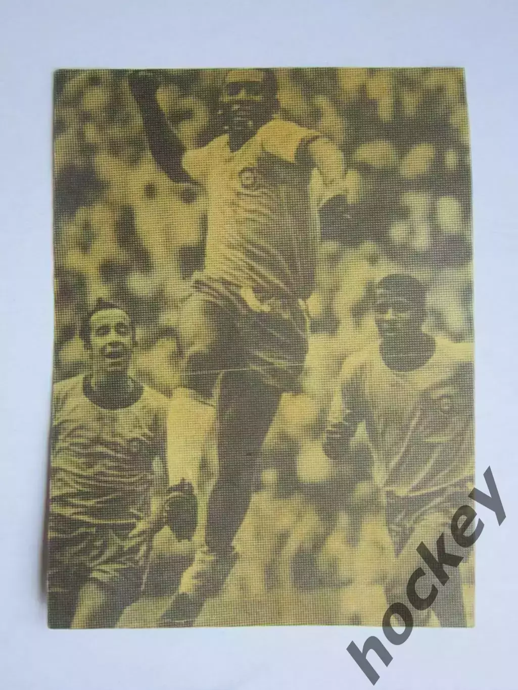 Вырезка. Футбол. Фото 518.