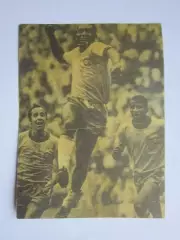 Вырезка. Футбол. Фото 518.