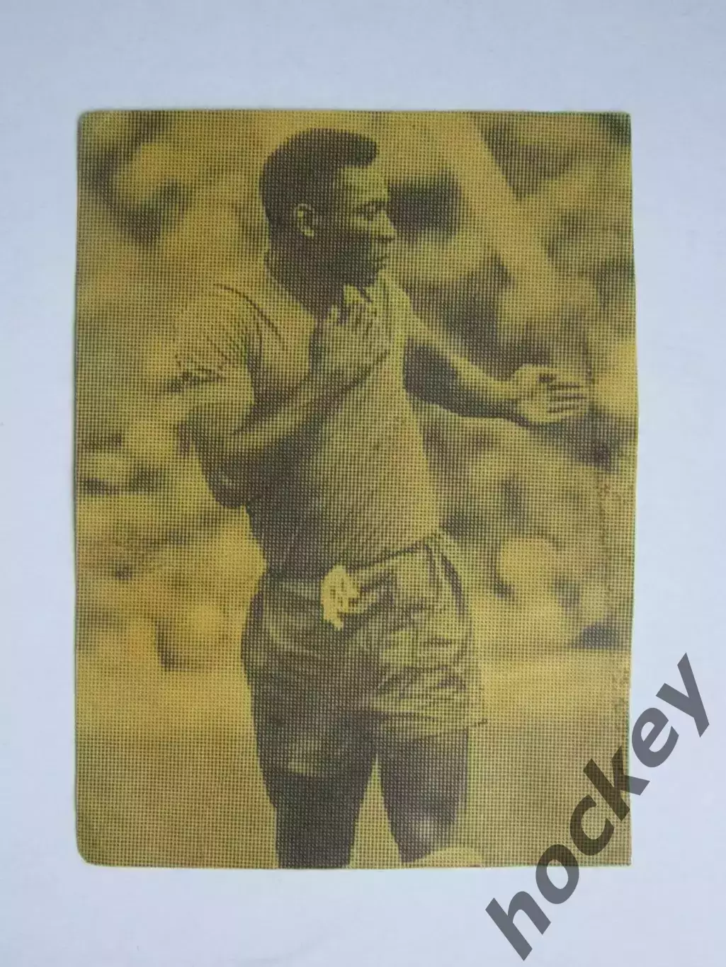 Вырезка. Футбол. Фото 520.