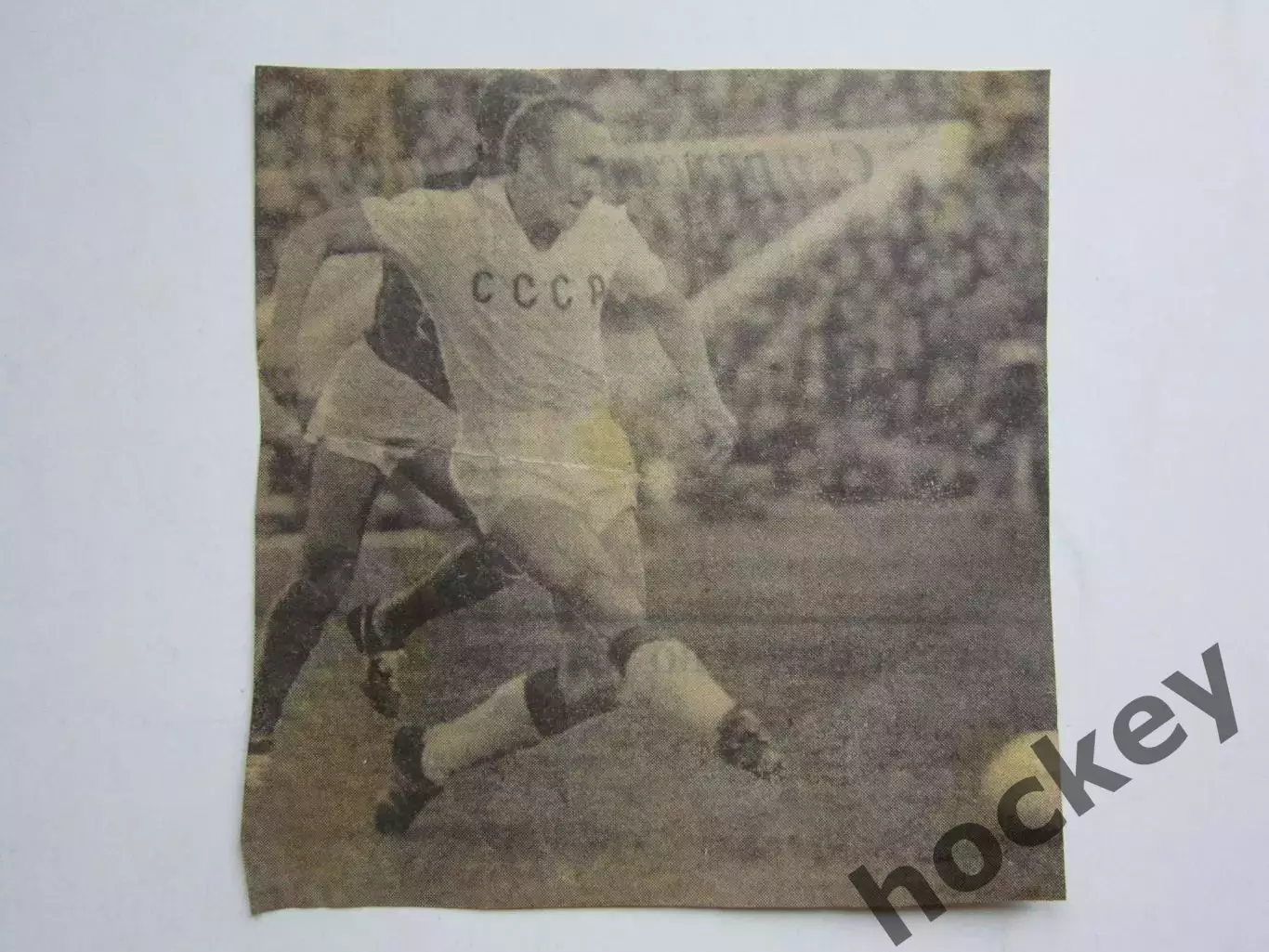 Вырезка. Футбол. Фото 524.