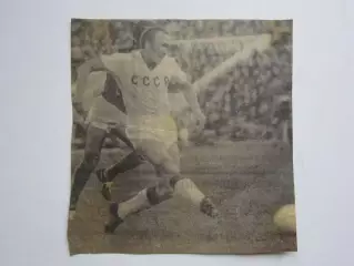 Вырезка. Футбол. Фото 524.