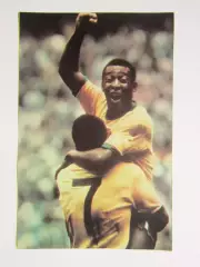 Вырезка. Футбол. Фото