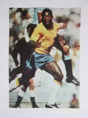 Вырезка. Футбол. Фото