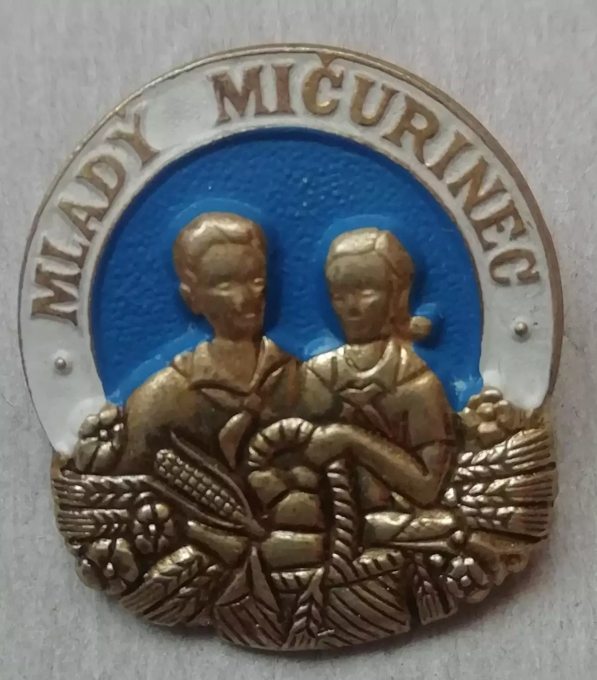 Знак, значок Юный мичуринец. Сельское хозяйство. Садоводство. Чехословакия.