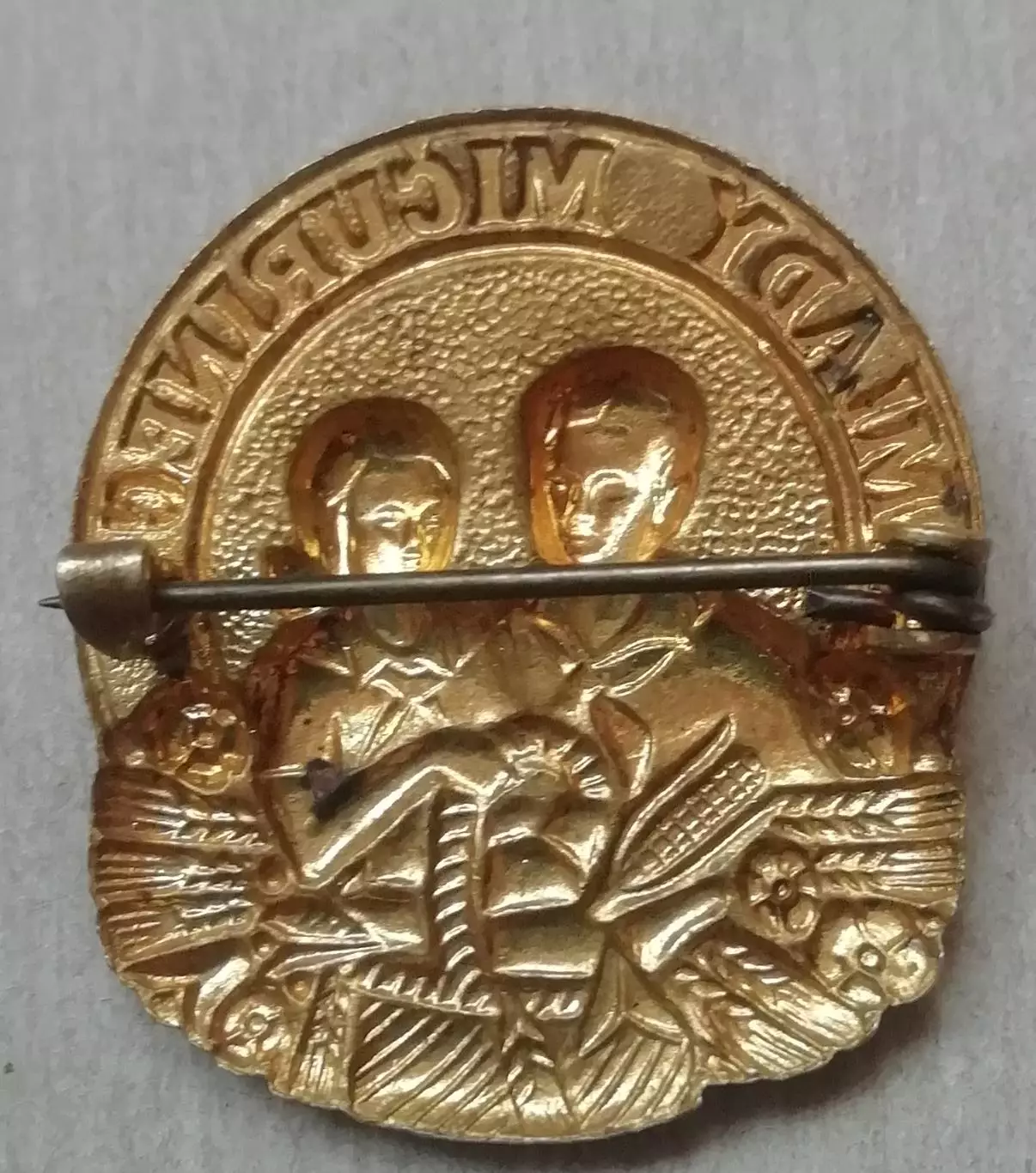 Знак, значок Юный мичуринец. Сельское хозяйство. Садоводство. Чехословакия. 1