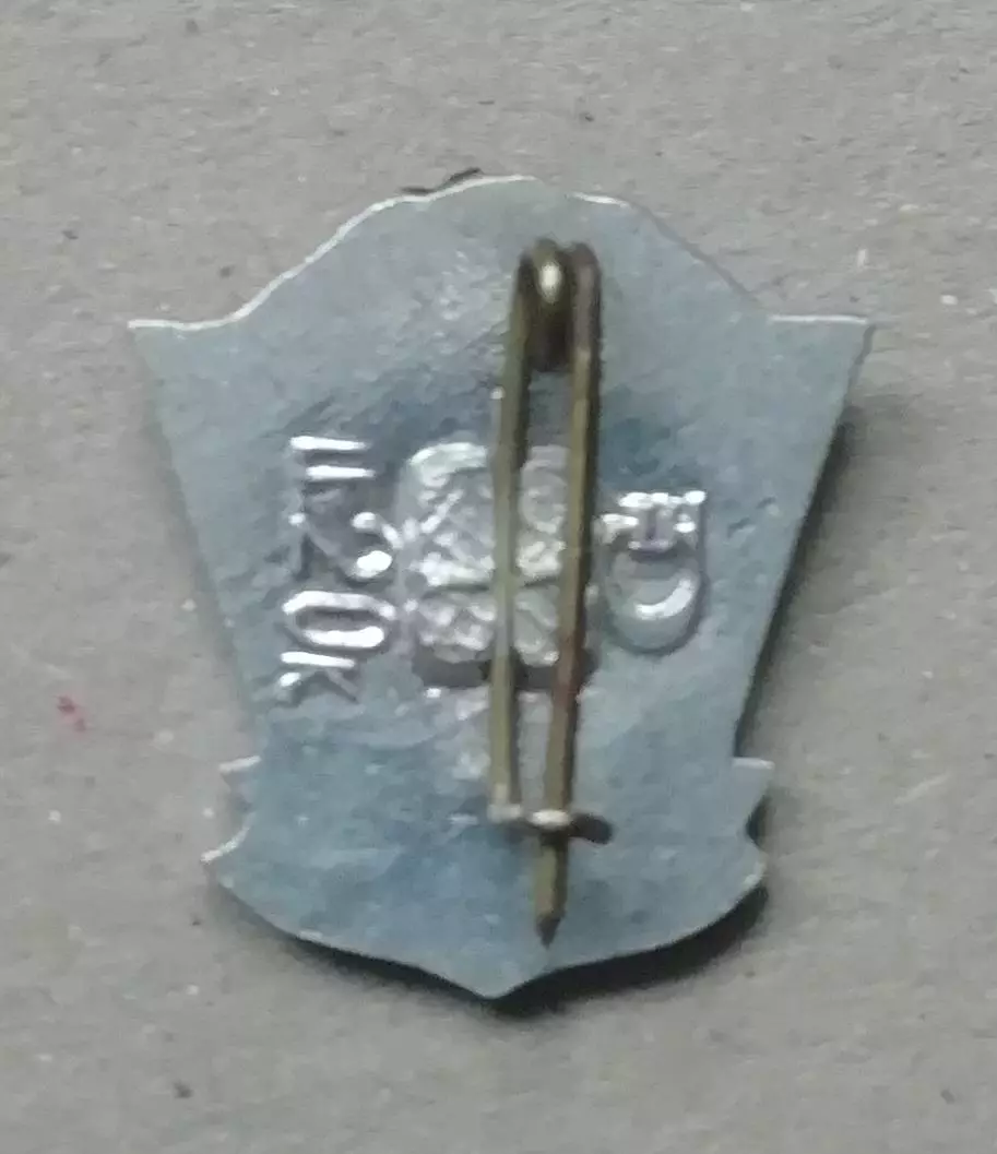Знак, Значок.Днепр 87 серебряный призёр чемпионата СССР 1