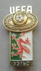 Значок из серии чемпионат Европы 1984 по футболу юноши-сборная УЭЛЬС флаг